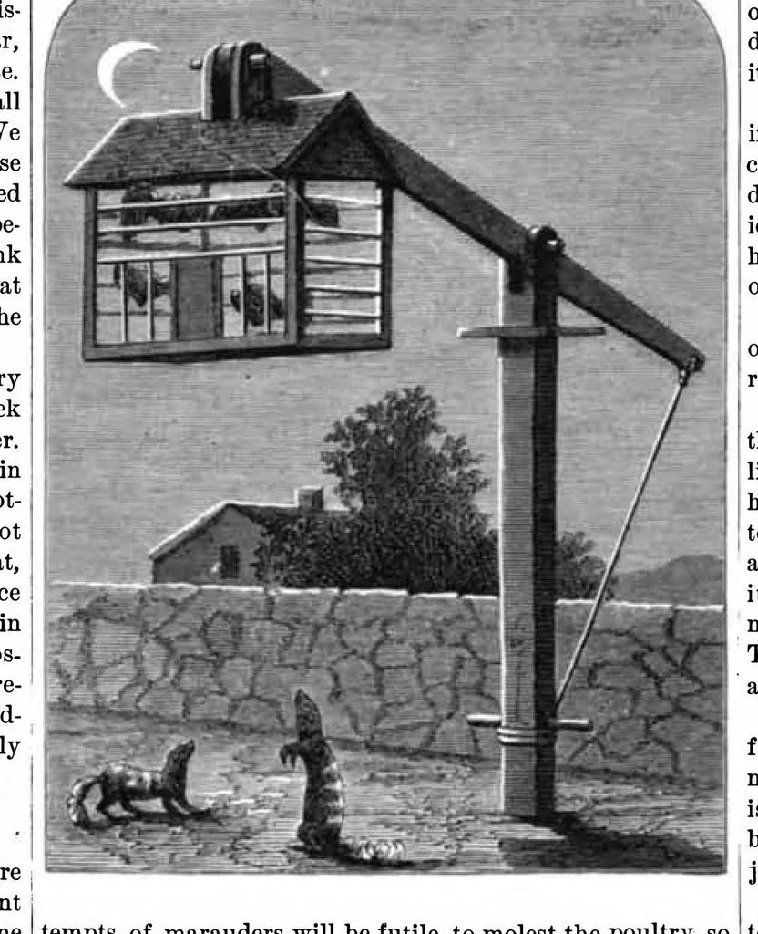 An illustration from Scientific American, Vol. 37, No. 5 (August 1877), 1877, leaf 7