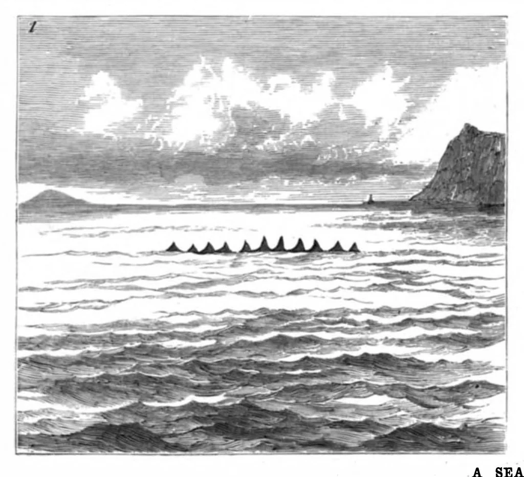 An illustration from Scientific American, Vol. 37, No. 5 (August 1877), 1877, leaf 8