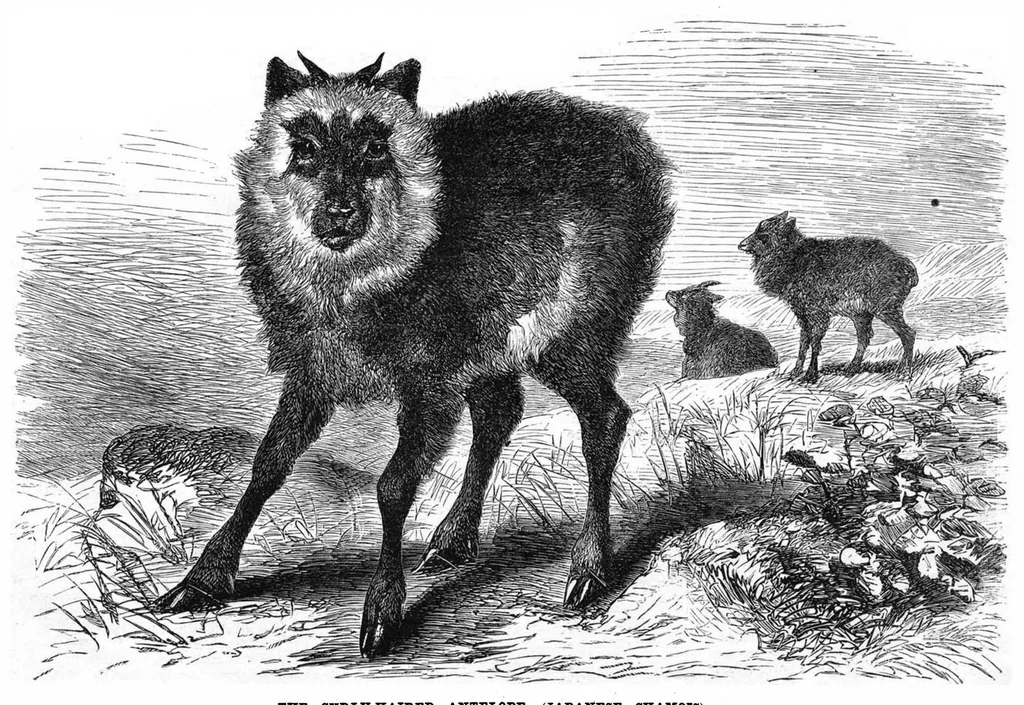 An illustration from Scientific American, Vol. 37, No. 7 (August 1877), 1877, leaf 8