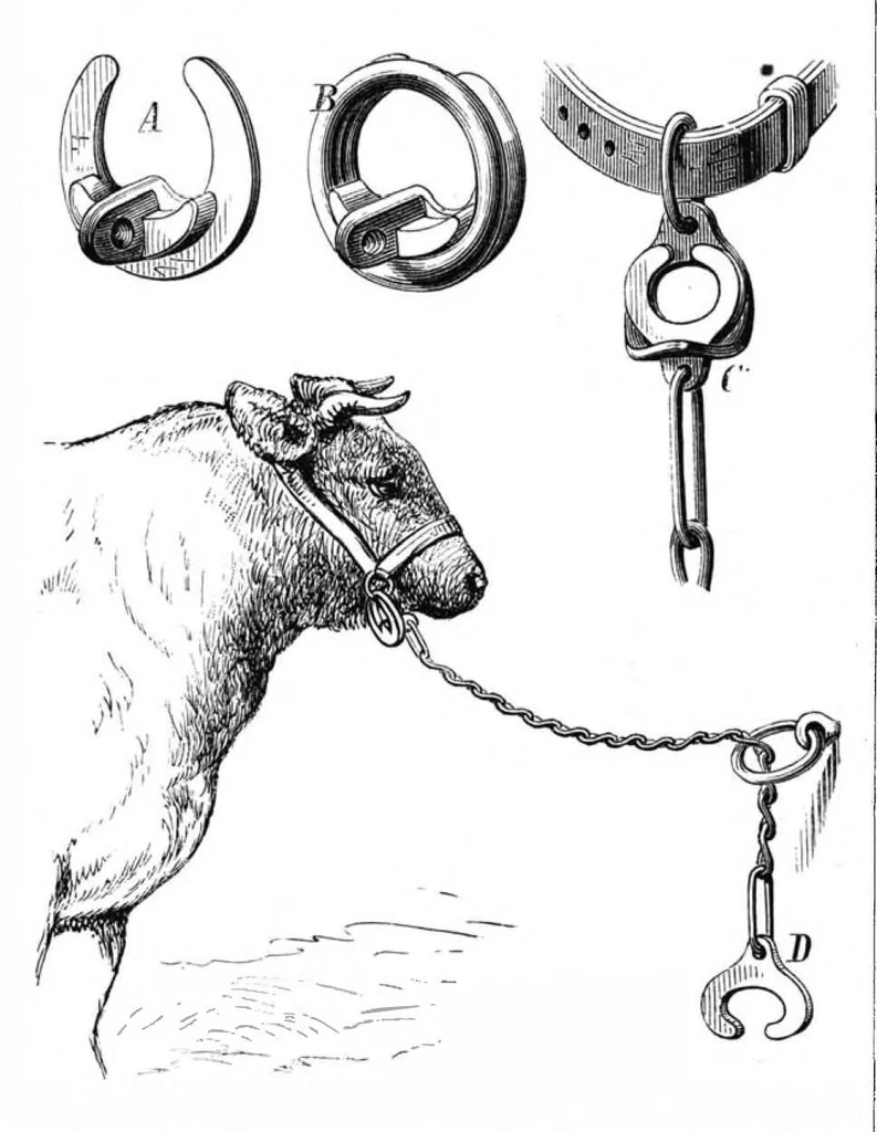 An illustration from Scientific American, Vol. 37, No. 13 (September 1877), 1877, leaf 7