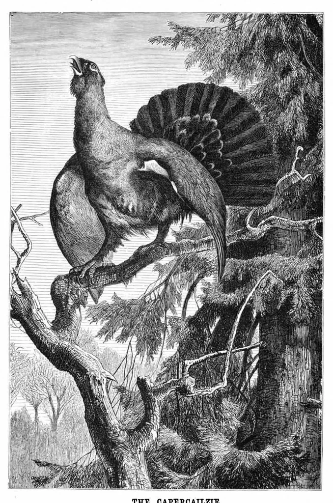 An illustration from Scientific American, Vol. 37, No. 22 (December 1877), 1877, leaf 8