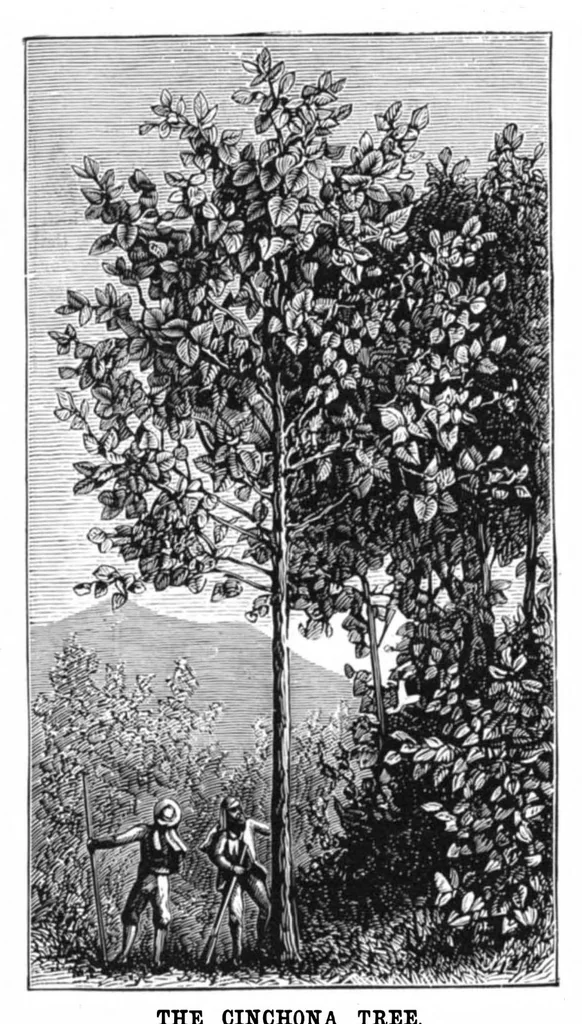 An illustration from Scientific American, Vol. 38, No. 3 (January 1878), 1878, leaf 8