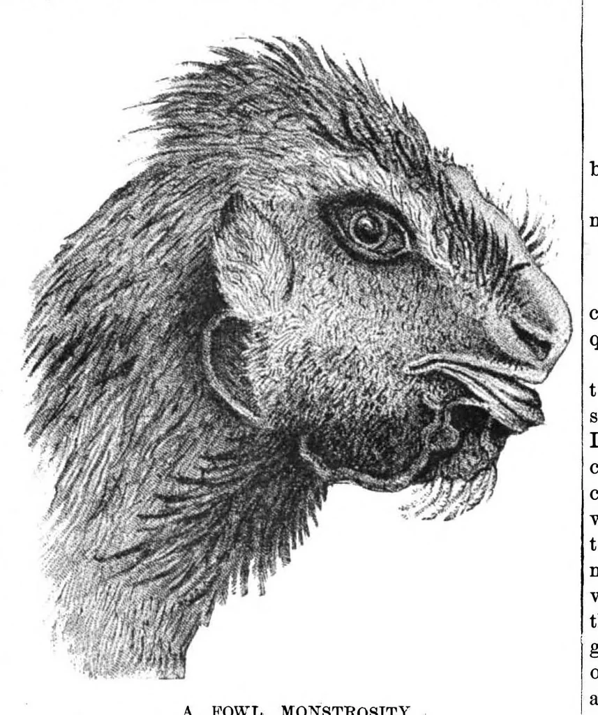 An illustration from Scientific American, Vol. 38, No. 6 (February 1878), 1878, leaf 10