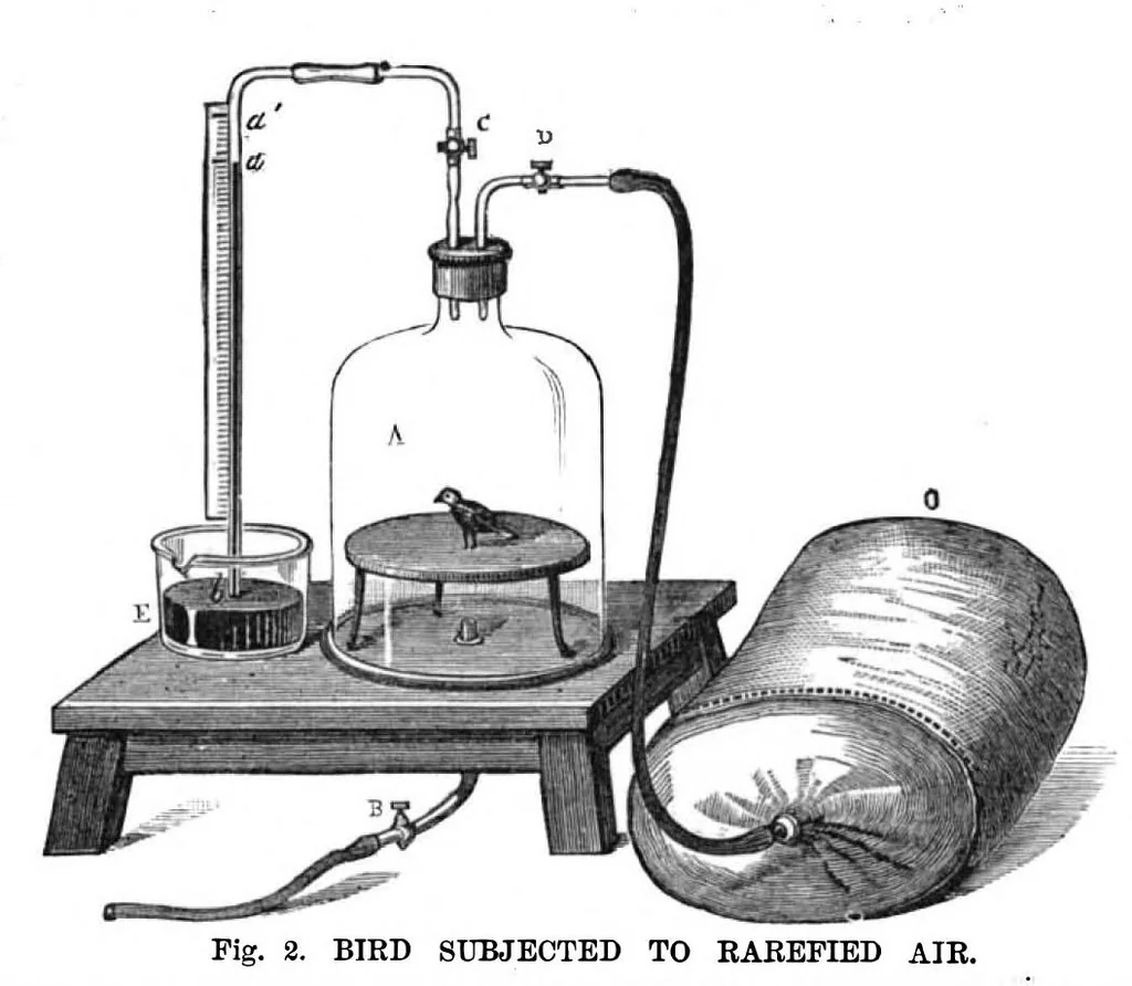 An illustration from Scientific American, Vol. 38, No. 8 (February 1878), 1878, leaf 10