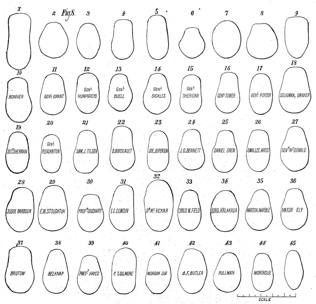 An illustration from Scientific American, Vol. 38, No. 10 (March 1878), 1878, leaf 3