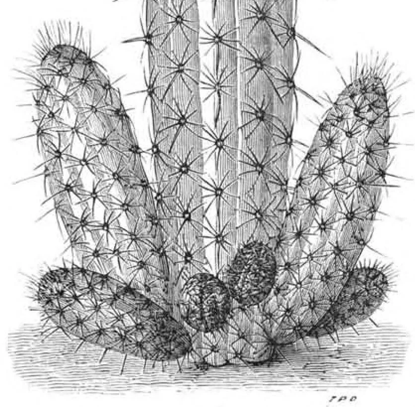 An illustration from Scientific American, Vol. 38, No. 10 (March 1878), 1878, leaf 8
