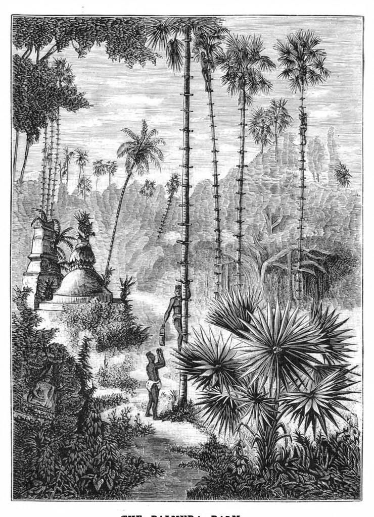 An illustration from Scientific American, Vol. 38, No. 11 (March 1878), 1878, leaf 8