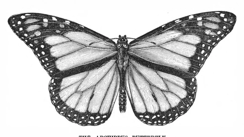 An illustration from Scientific American, Vol. 38, No. 14 (April 1878), 1878, leaf 8