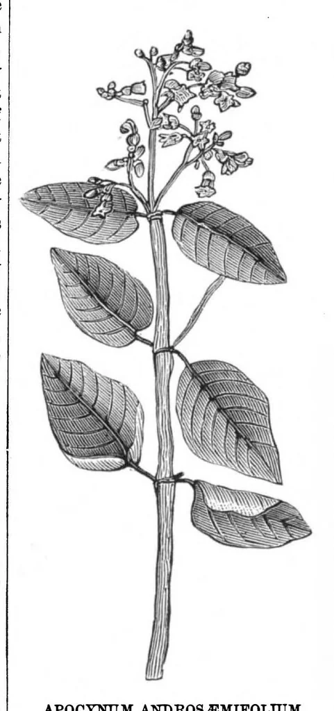 An illustration from Scientific American, Vol. 38, No. 14 (April 1878), 1878, leaf 9