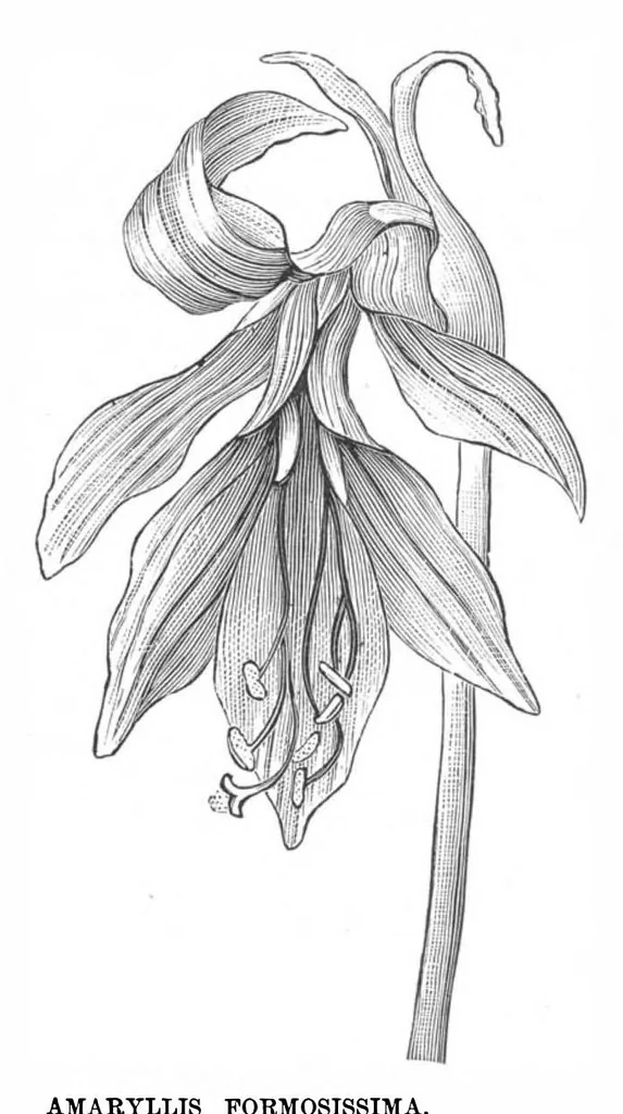 An illustration from Scientific American, Vol. 38, No. 15 (April 1878), 1878, leaf 10