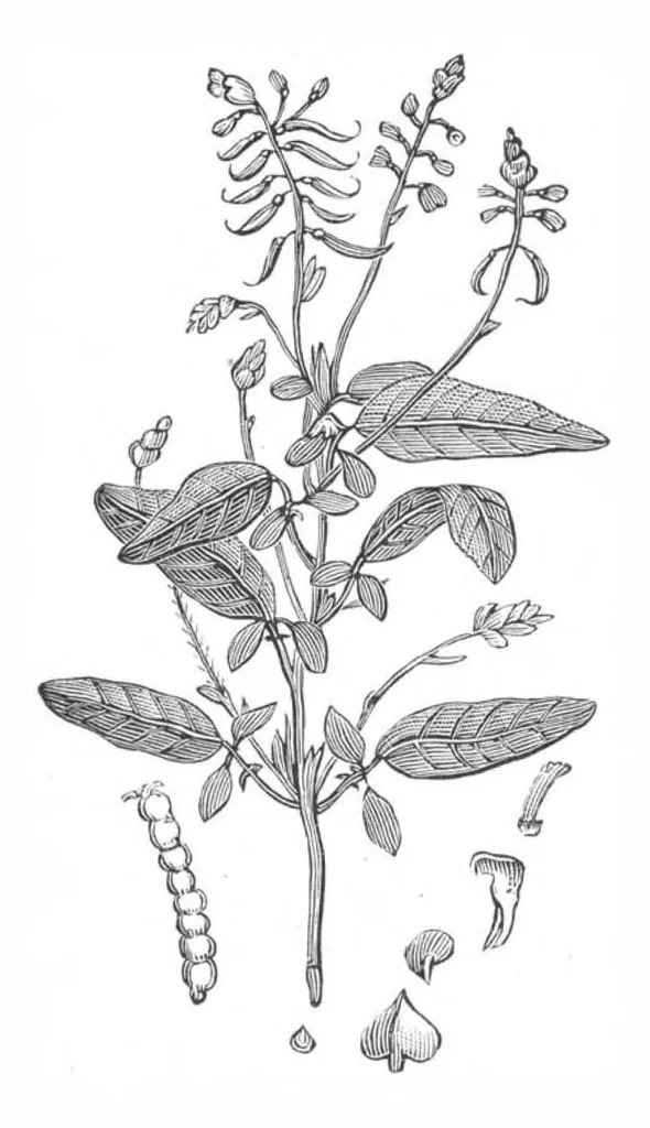 An illustration from Scientific American, Vol. 38, No. 15 (April 1878), 1878, leaf 10