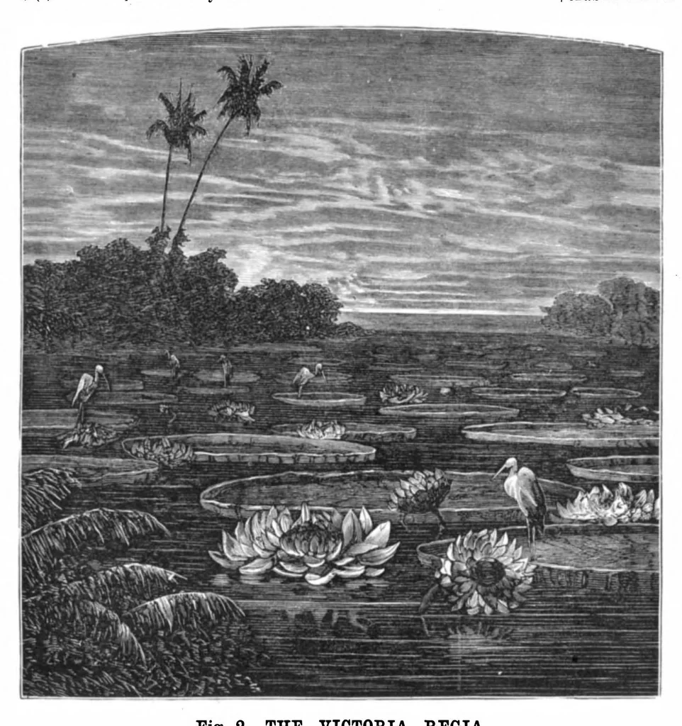 An illustration from Scientific American, Vol. 38, No. 16 (April 1878), 1878, leaf 8