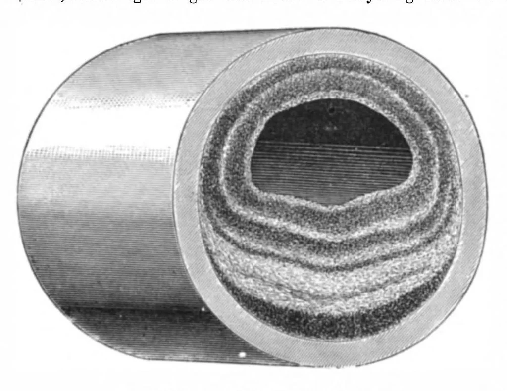 An illustration from Scientific American, Vol. 38, No. 17 (April 1878), 1878, leaf 6