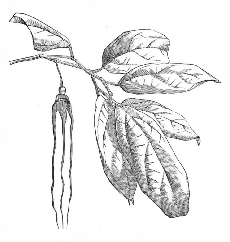 An illustration from Scientific American, Vol. 38, No. 17 (April 1878), 1878, leaf 8