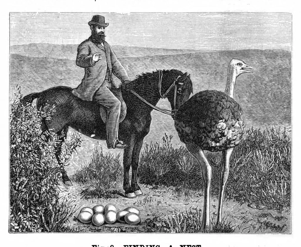 An illustration from Scientific American, Vol. 38, No. 19 (May 1878), 1878, leaf 8