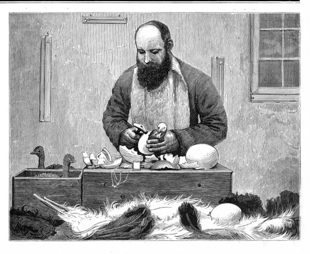 An illustration from Scientific American, Vol. 38, No. 19 (May 1878), 1878, leaf 8
