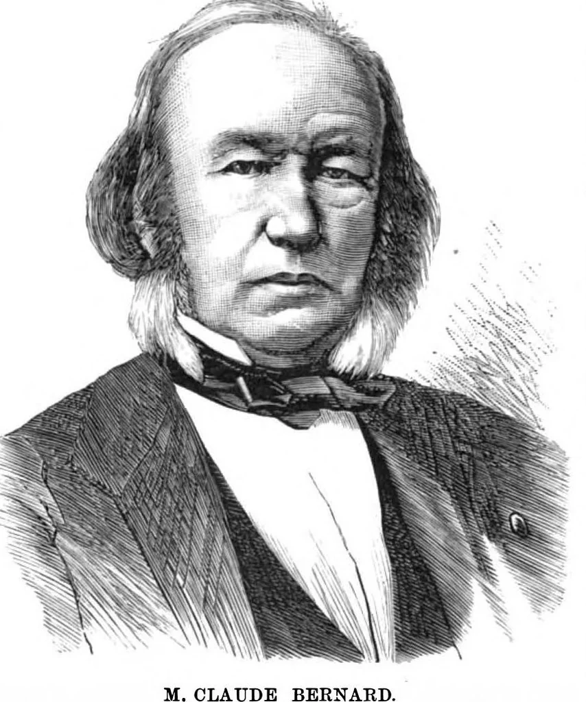 An illustration from Scientific American, Vol. 38, No. 20 (May 1878), 1878, leaf 4