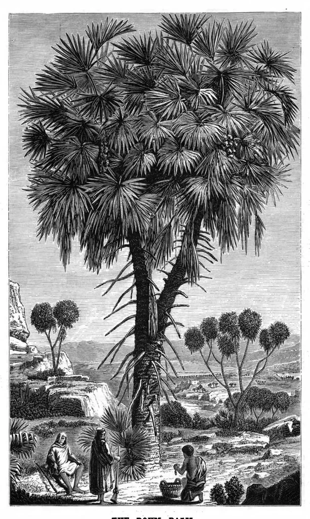 An illustration from Scientific American, Vol. 38, No. 26 (June 1878), 1878, leaf 8