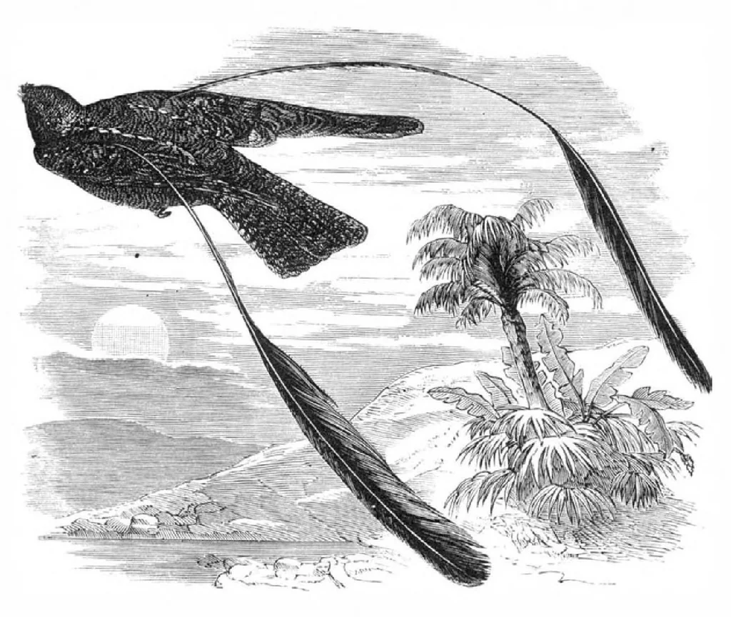 An illustration from Scientific American, Vol. 39, No. 2 (July 1878), 1878, leaf 10