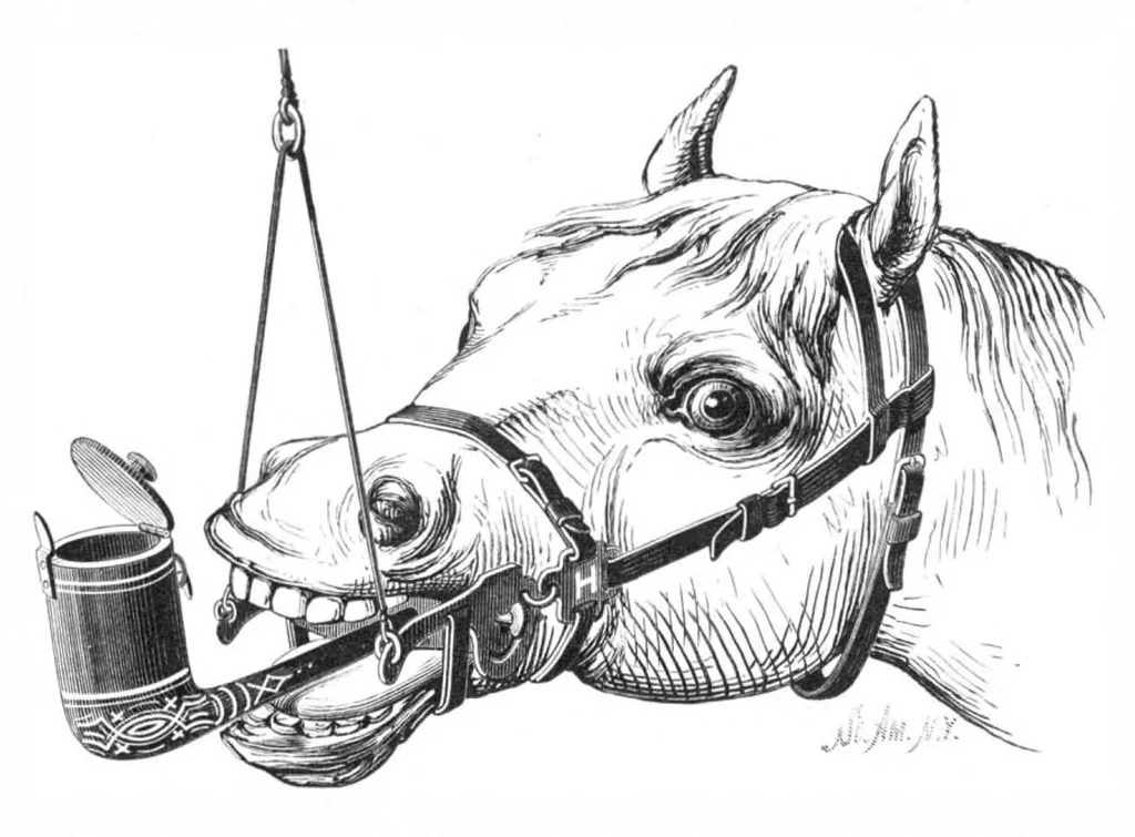 An illustration from Scientific American, Vol. 39, No. 3 (July 1878), 1878, leaf 10