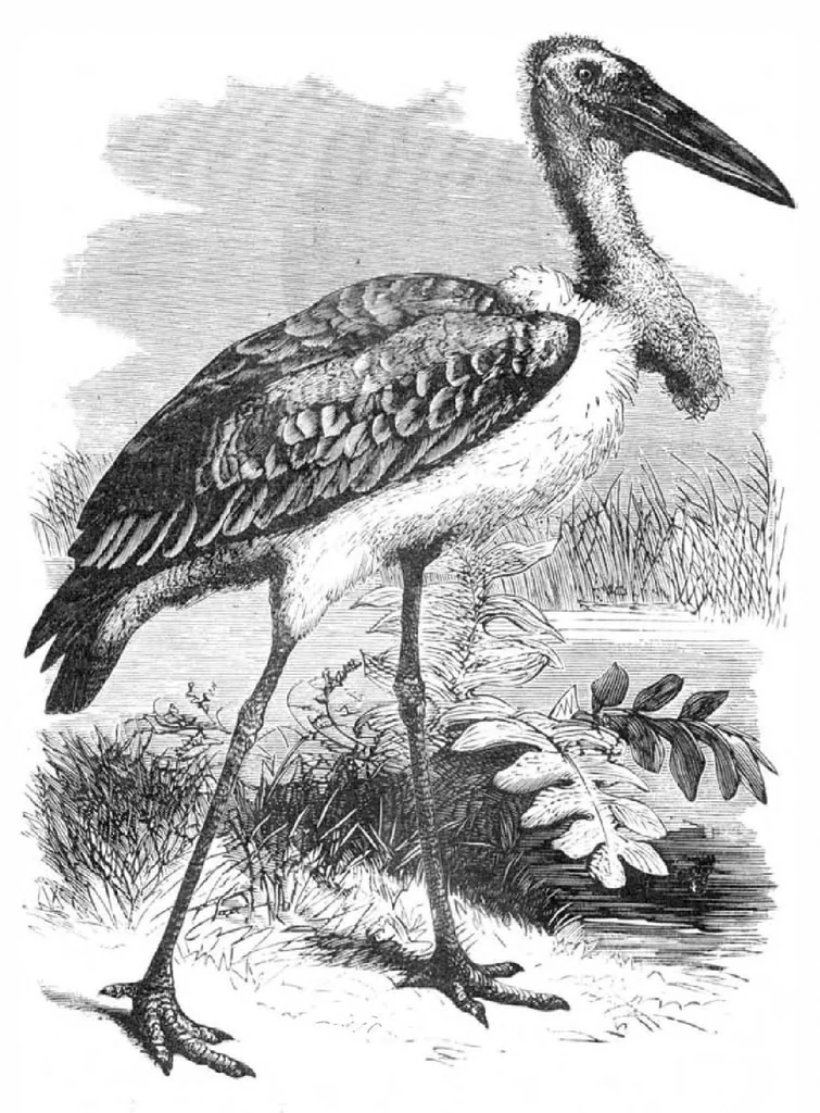 An illustration from Scientific American, Vol. 39, No. 4 (July 1878), 1878, leaf 10