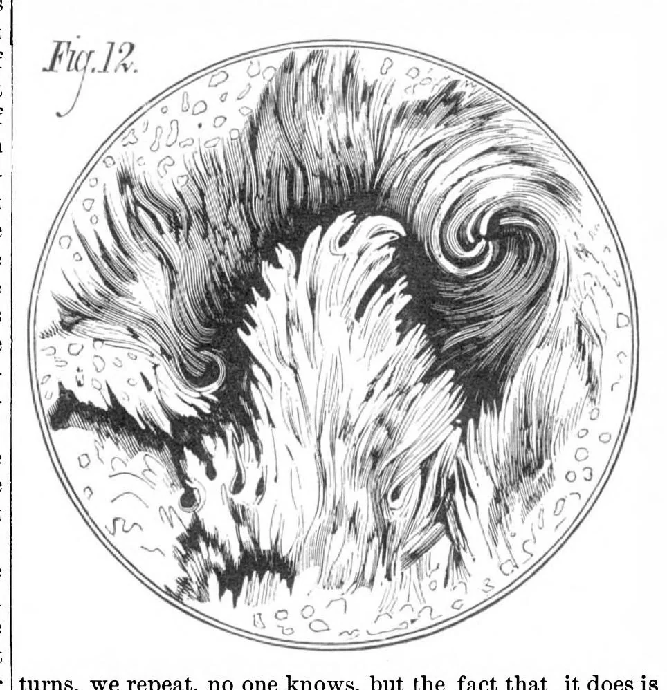 An illustration from Scientific American, Vol. 39, No. 6 (August 1878), 1878, leaf 2