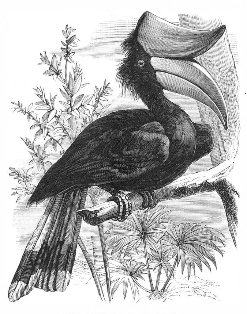 An illustration from Scientific American, Vol. 39, No. 6 (August 1878), 1878, leaf 8