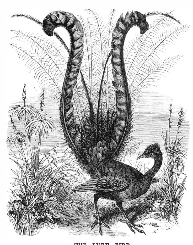 An illustration from Scientific American, Vol. 39, No. 7 (August 1878), 1878, leaf 8
