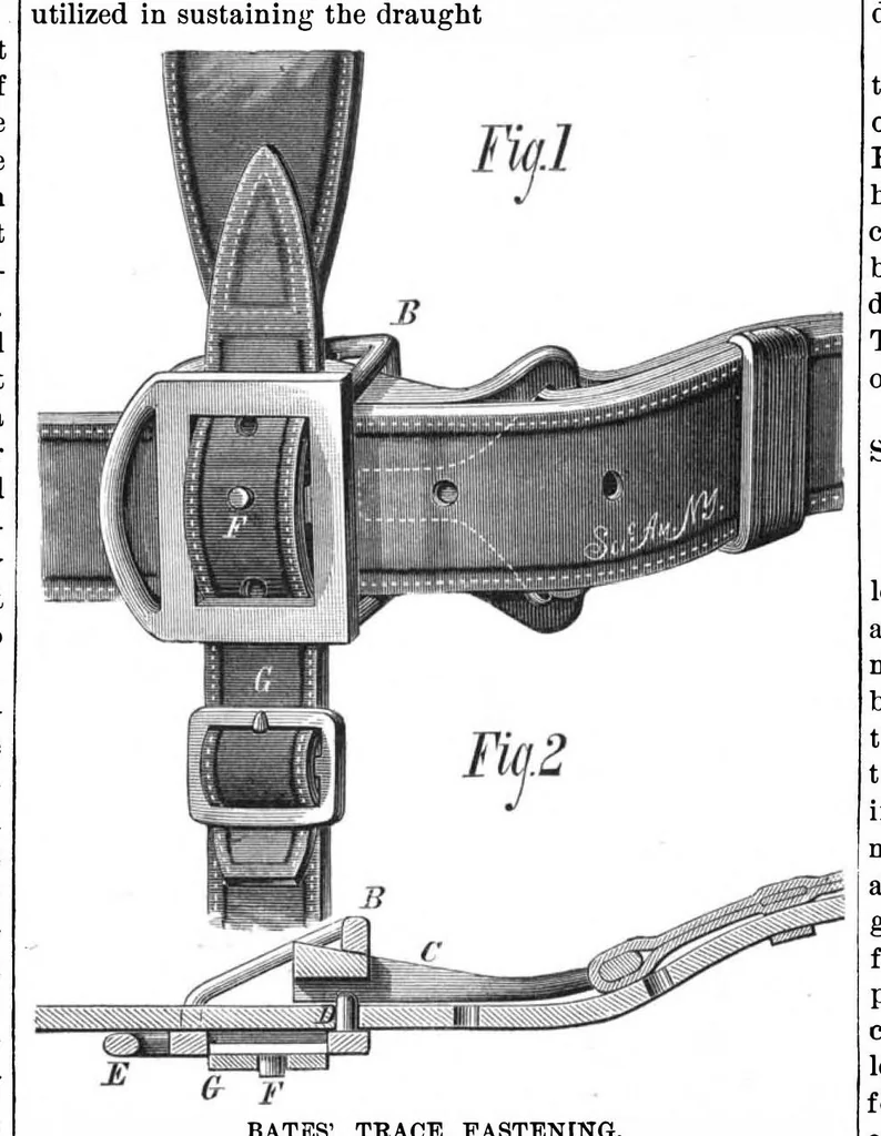 An illustration from Scientific American, Vol. 39, No. 8 (August 1878), 1878, leaf 4