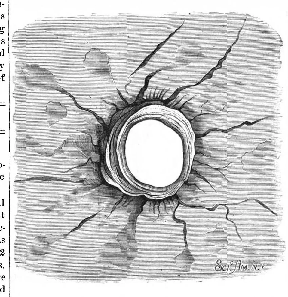 An illustration from Scientific American, Vol. 39, No. 8 (August 1878), 1878, leaf 5