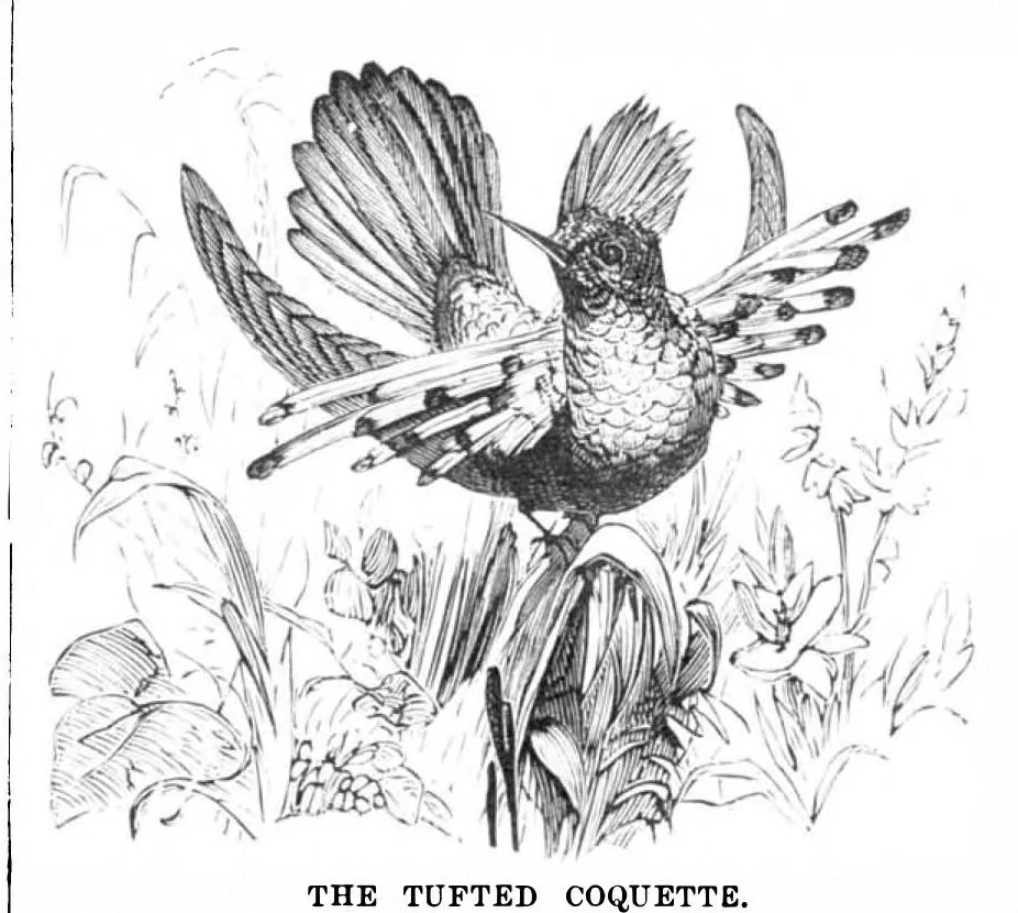 An illustration from Scientific American, Vol. 39, No. 12 (September 1878), 1878, leaf 8