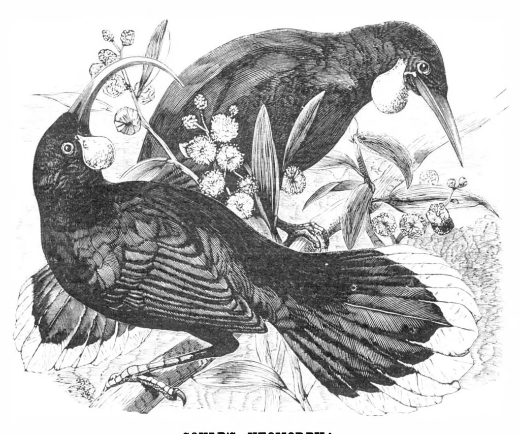 An illustration from Scientific American, Vol. 39, No. 13 (September 1878), 1878, leaf 10