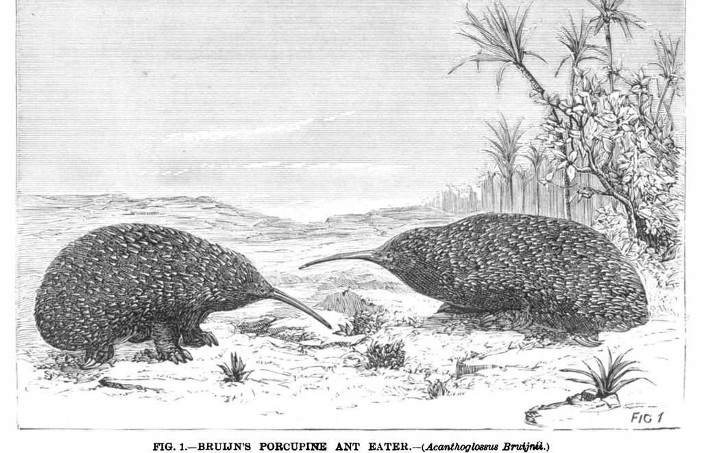 An illustration from Scientific American, Vol. 39, No. 14 (October 1878), 1878, leaf 10