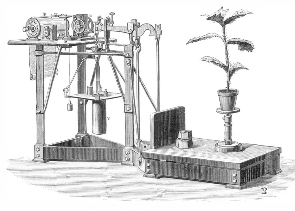 An illustration from Scientific American, Vol. 39, No. 15 (October 1878), 1878, leaf 10