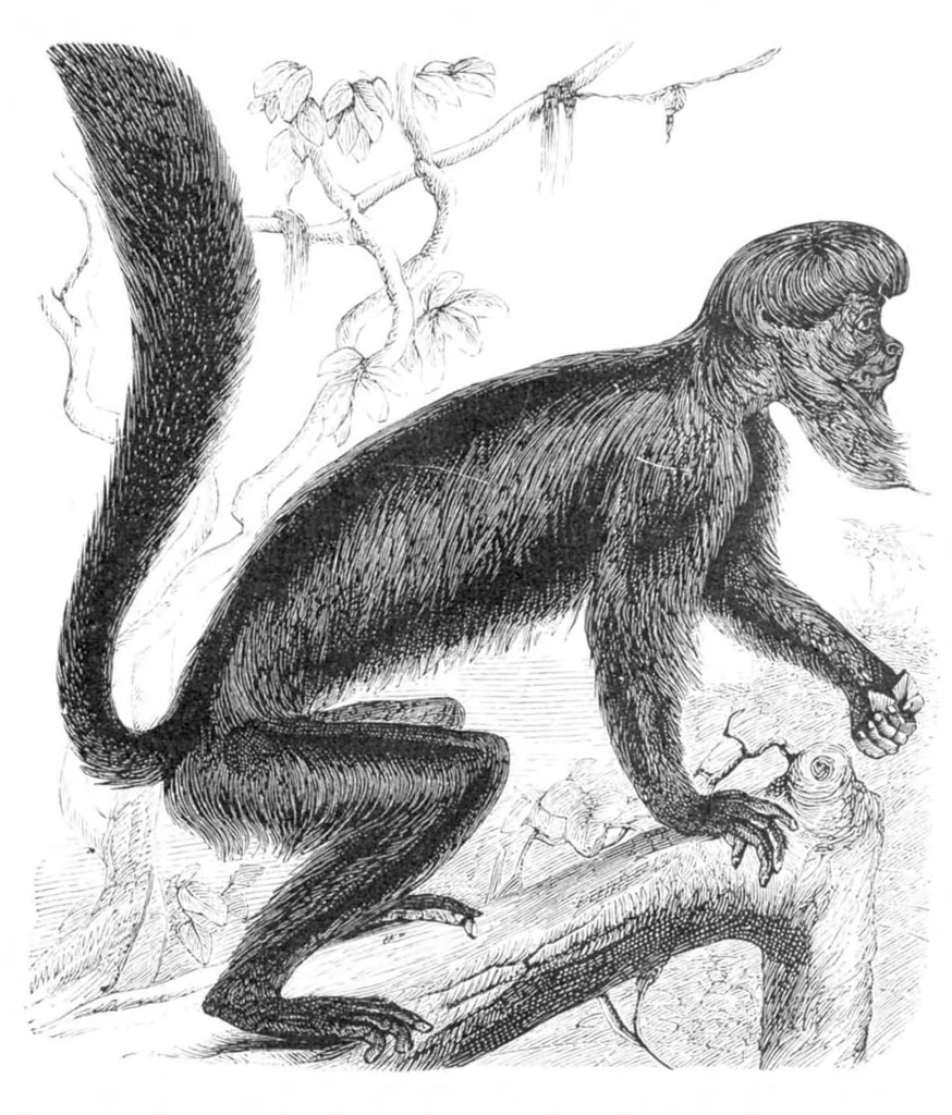 An illustration from Scientific American, Vol. 39, No. 15 (October 1878), 1878, leaf 8