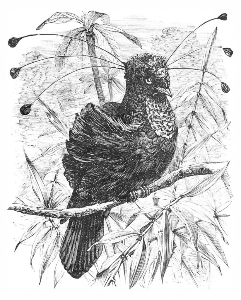 An illustration from Scientific American, Vol. 39, No. 16 (October 1878), 1878, leaf 8