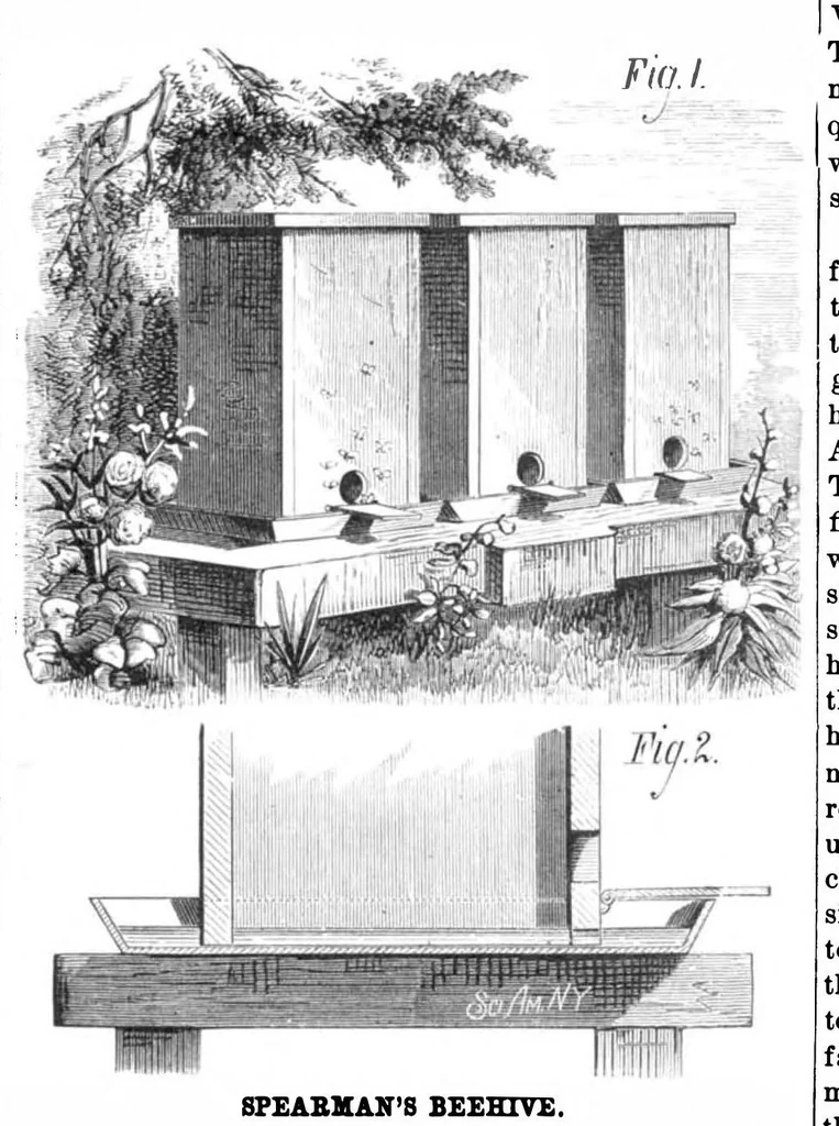 An illustration from Scientific American, Vol. 39, No. 17 (October 1878), 1878, leaf 8