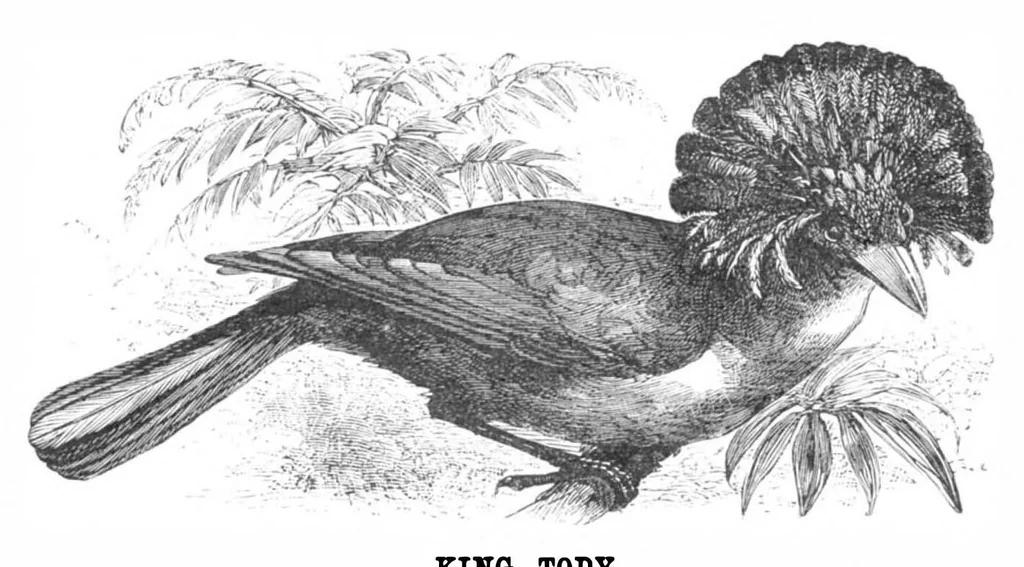 An illustration from Scientific American, Vol. 39, No. 18 (November 1878), 1878, leaf 10