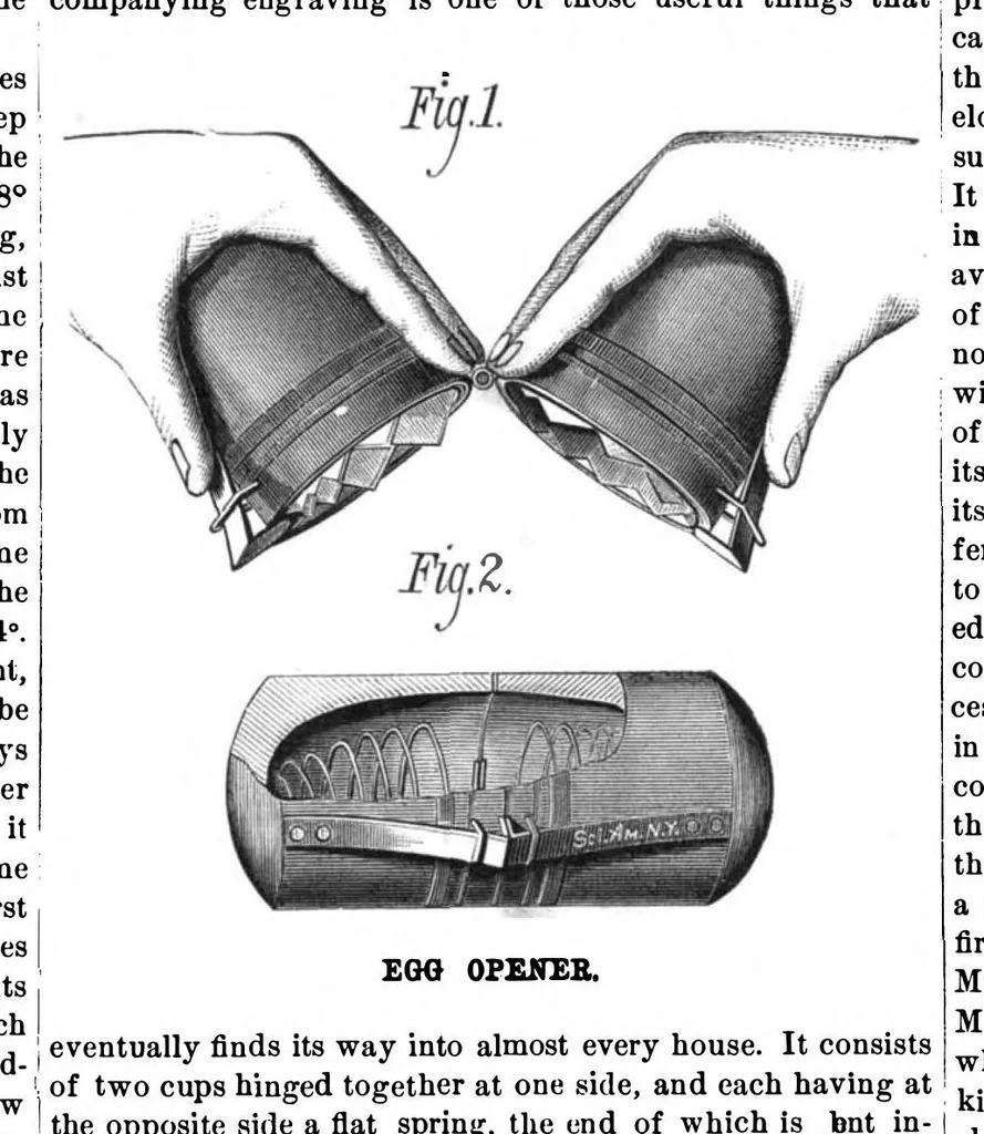 An illustration from Scientific American, Vol. 39, No. 21 (November 1878), 1878, leaf 9