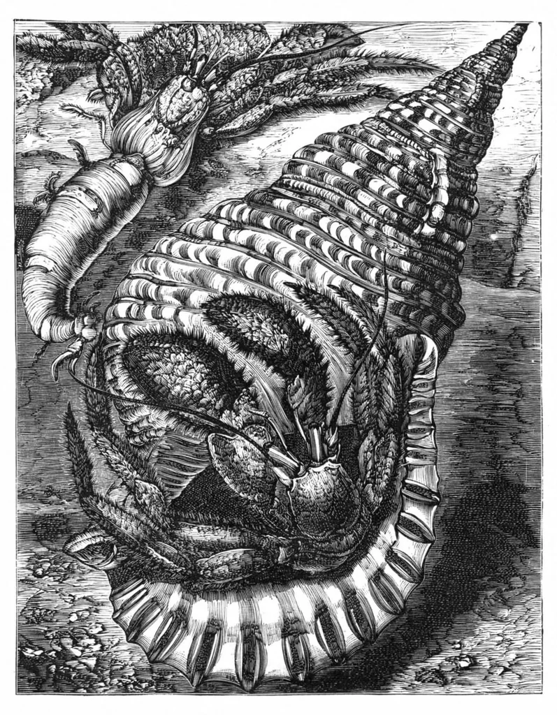 An illustration from Scientific American, Vol. 39, No. 22 (November 1878), 1878, leaf 8