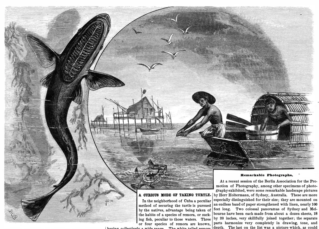 An illustration from Scientific American, Vol. 39, No. 26 (December 1878), 1878, leaf 0