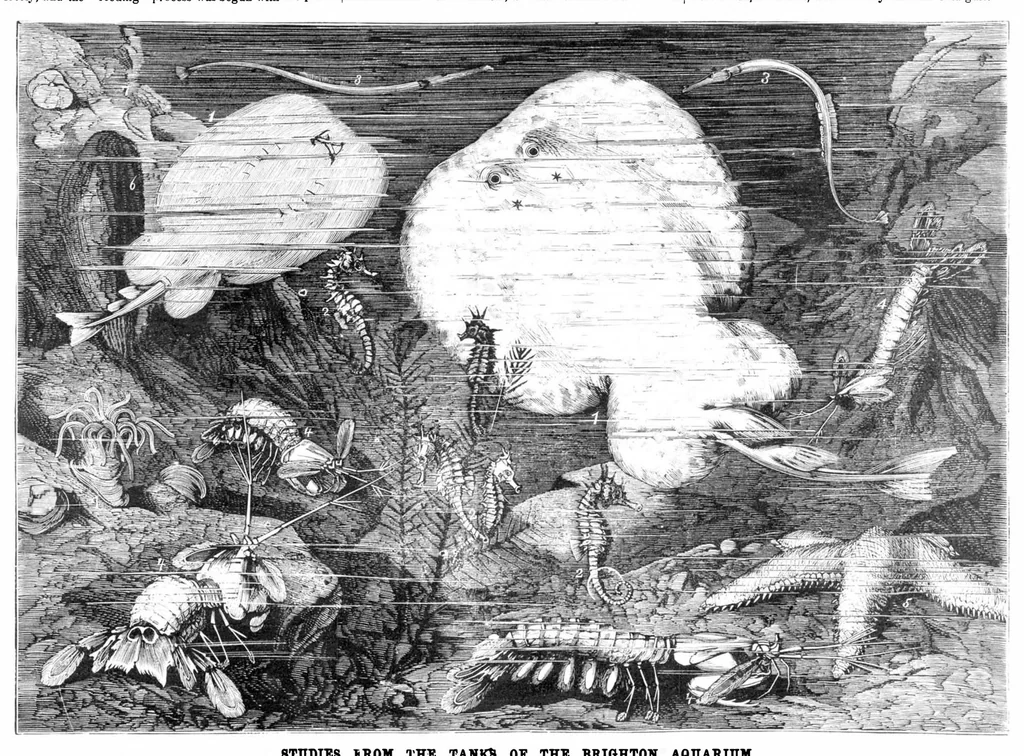 An illustration from Scientific American, Vol. 40, No. 2 (January 1879), 1879, leaf 8