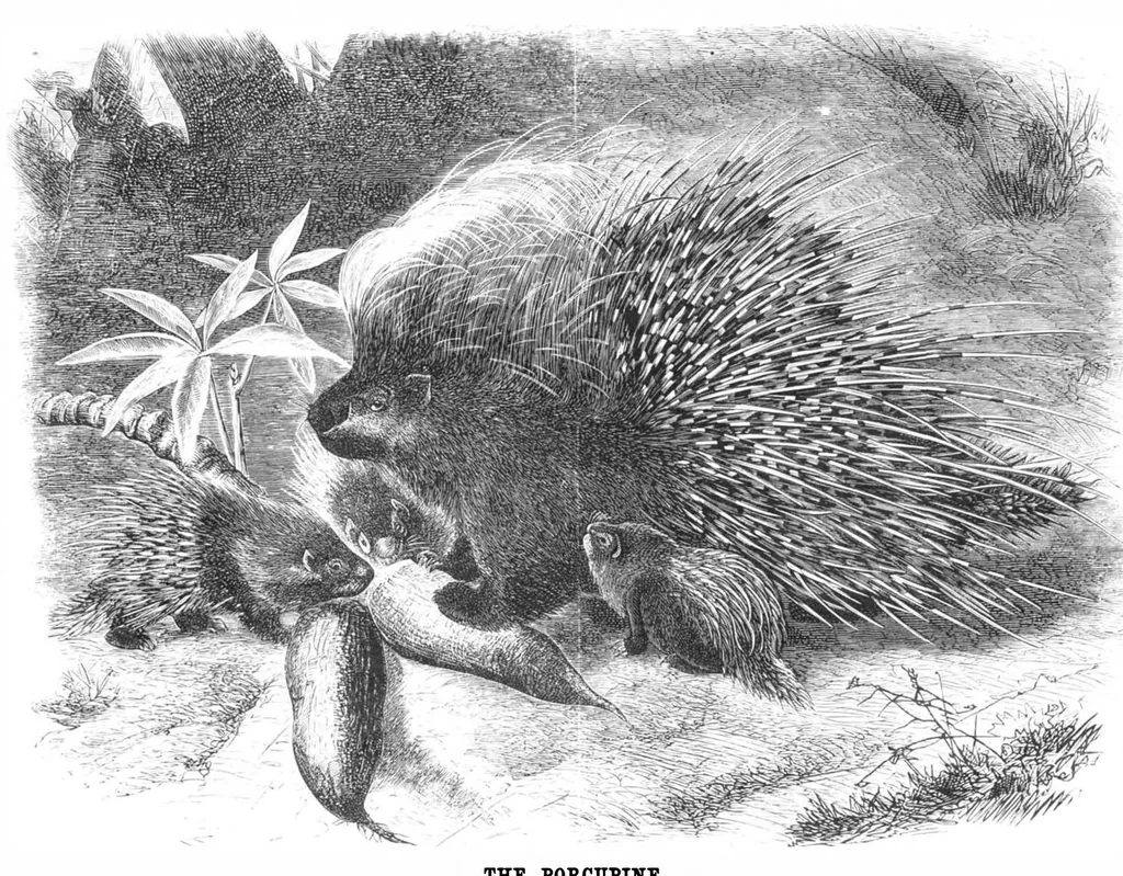 An illustration from Scientific American, Vol. 40, No. 5 (February 1879), 1879, leaf 8