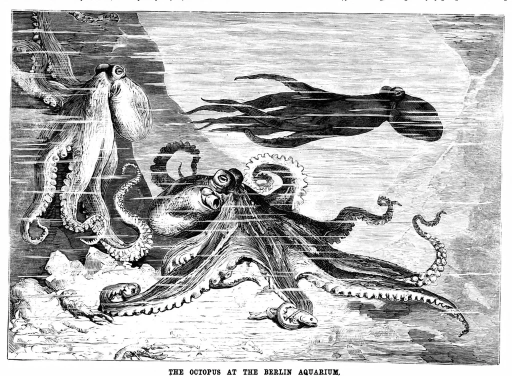 An illustration from Scientific American, Vol. 40, No. 7 (February 1879), 1879, leaf 8