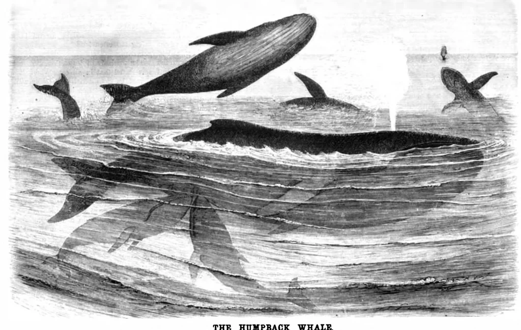 An illustration from Scientific American, Vol. 40, No. 9 (March 1879), 1879, leaf 8