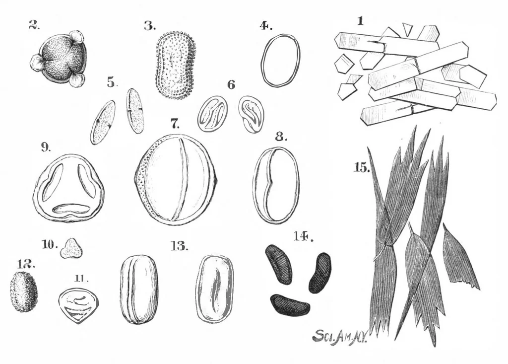 An illustration from Scientific American, Vol. 40, No. 10 (March 1879), 1879, leaf 6
