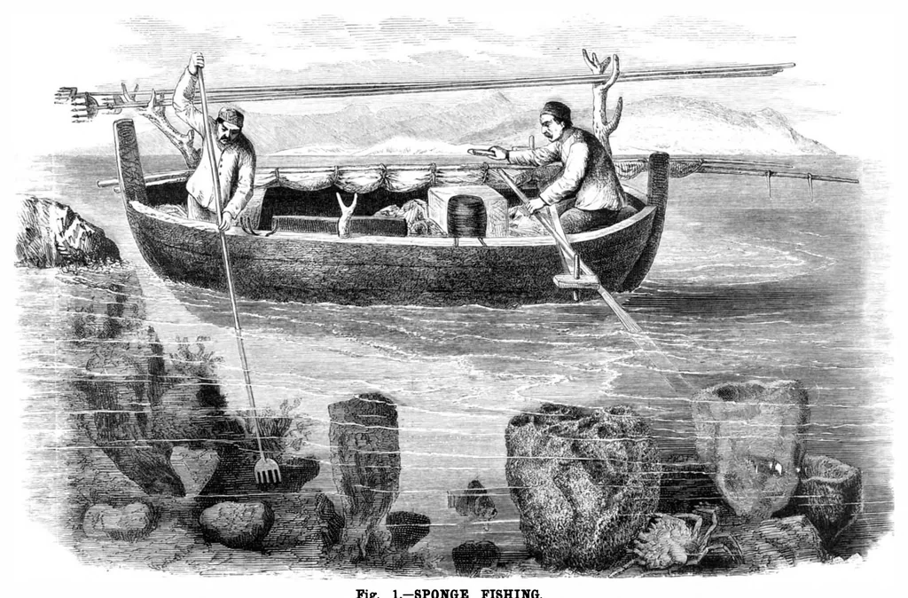 An illustration from Scientific American, Vol. 40, No. 11 (March 1879), 1879, leaf 8