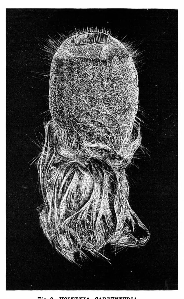 An illustration from Scientific American, Vol. 40, No. 13 (March 1879), 1879, leaf 10