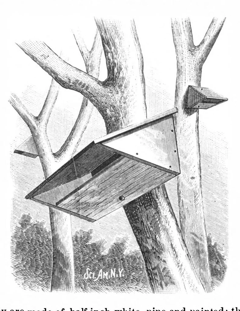 An illustration from Scientific American, Vol. 40, No. 15 (April 1879), 1879, leaf 5