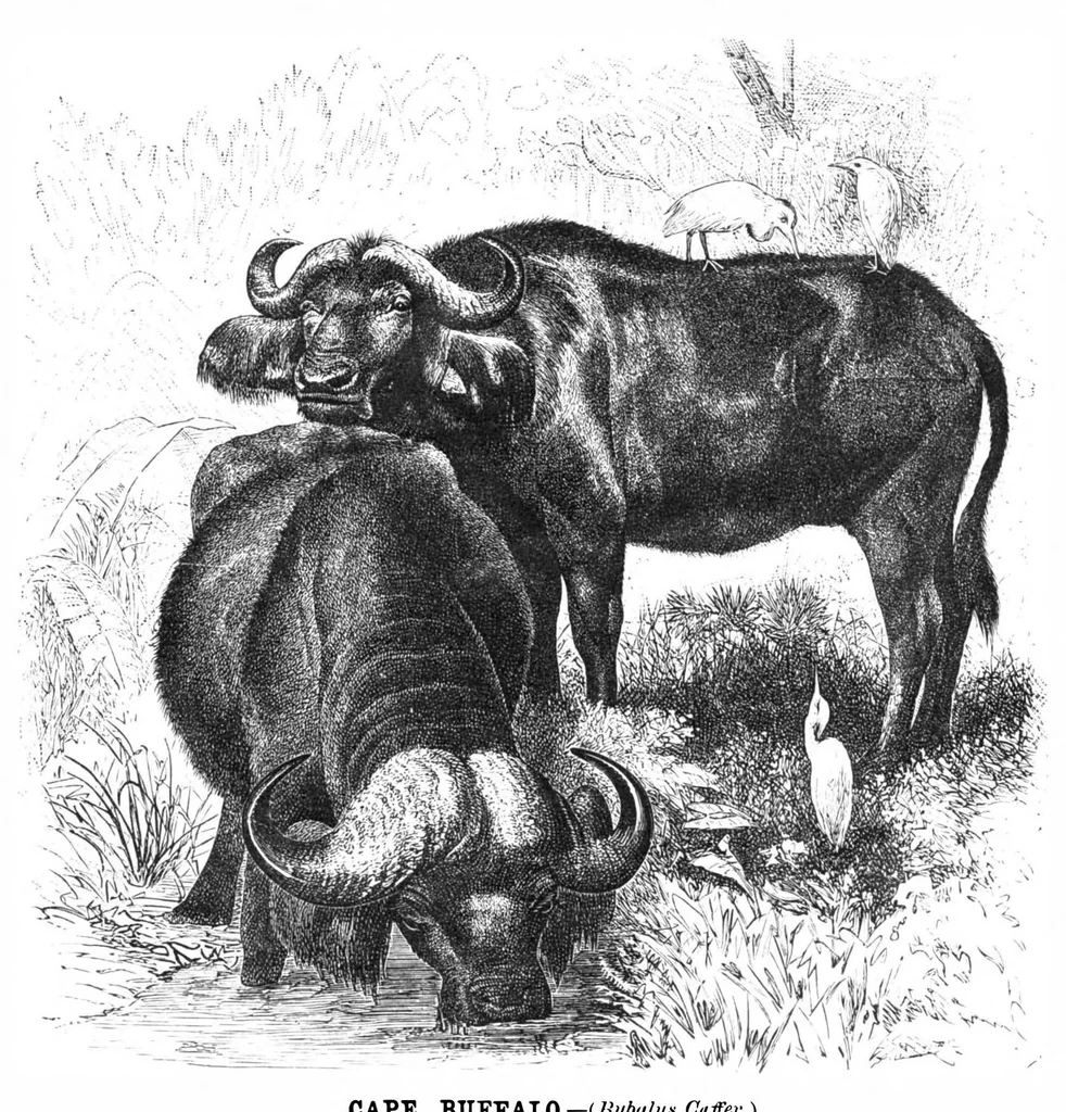 An illustration from Scientific American, Vol. 40, No. 15 (April 1879), 1879, leaf 8